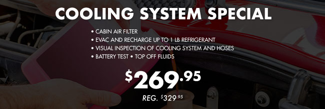 Lube, oil and filter change special