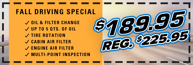 Lube, Oil & Filter Change Special