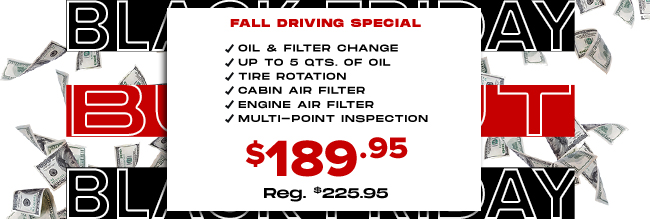 Fall Driving Special