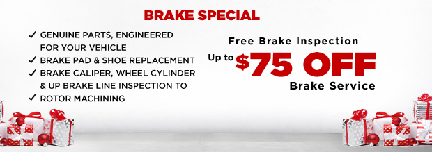 Brake special