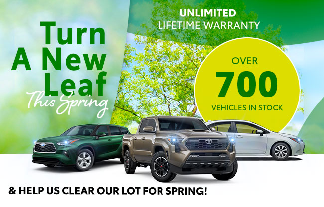 turn a new leaf this spring