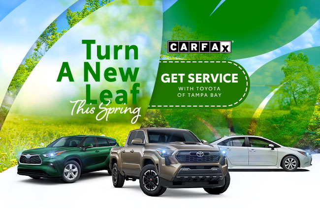 Turn a new leaf this spring at Toyota of Tampa Bay