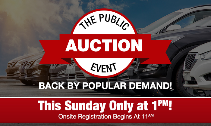 The Public Auction Event