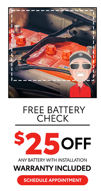 free battery check