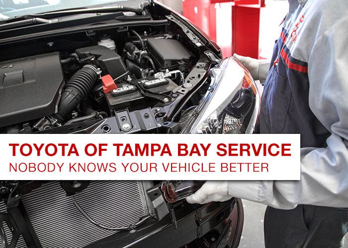 Toyota of Tampa Bay Service