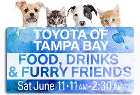 Toyota of Tampa Bay. Food, Drinks, & Furry Friends.