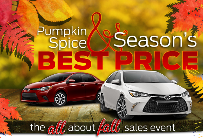 Pumpkin Spice & Season's Best Price