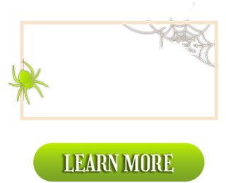 food costumes candy prizes and more! learn more