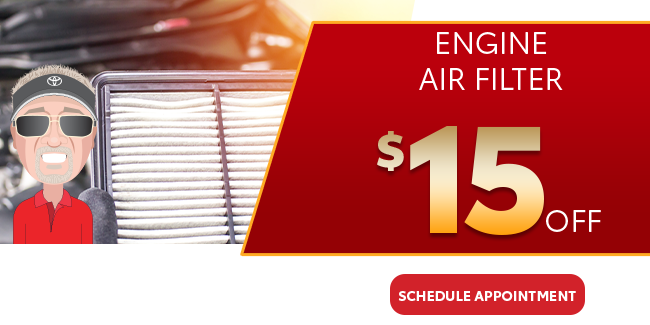 Engine air filter $15
