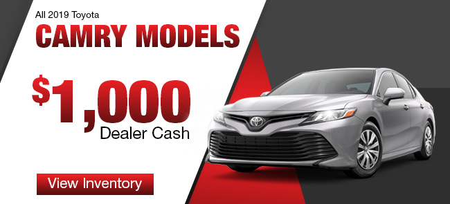 All 2019 Toyota Camry Models