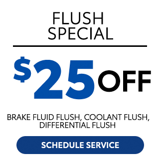 Flush Special