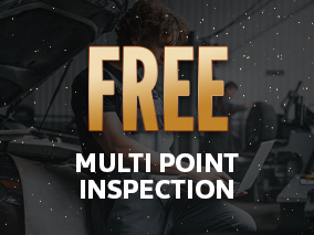 Free Multi Inspection