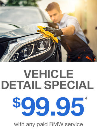 Vehicle Detail Special $99.95