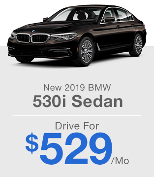 New 2019 BMW 530i