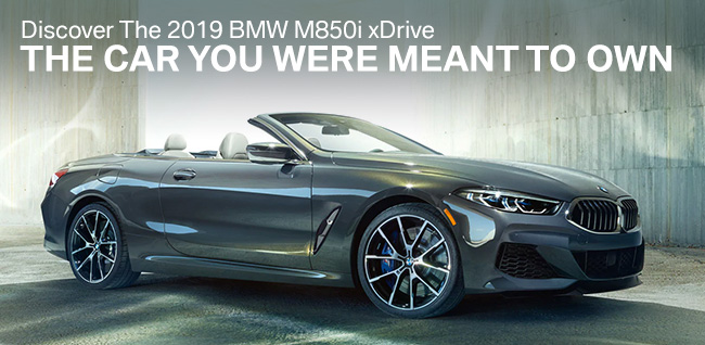Discover The 2019 BMW M850i xDrive