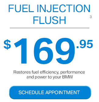 Fuel Injection Flush