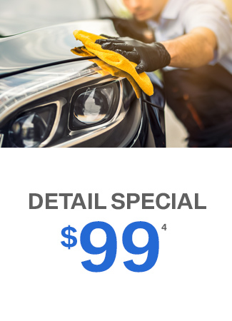 $99.00 Detail Special
