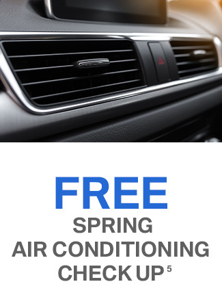 Free spring air conditioning check up 