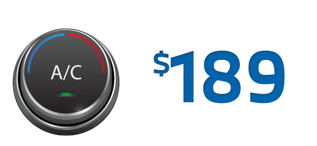 A/C Evaporator Service