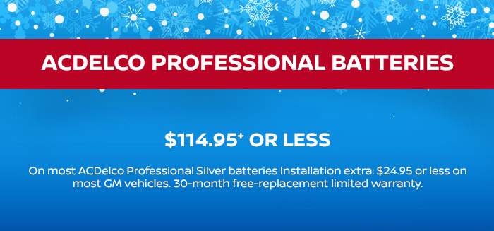 Acdelco Professional Batteries