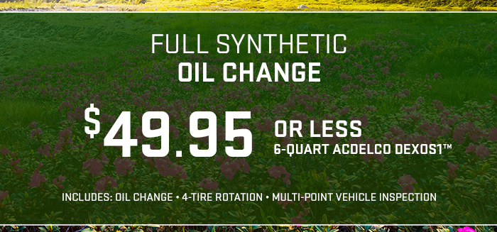 Full Synthetic Oil Change