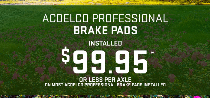 Acdelco Professional Brake Pads