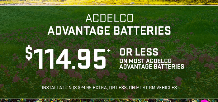 Acdelco Professional Batteries