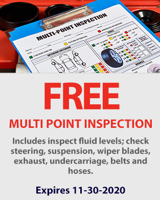 FREE MULTI POINT INSPECTION
