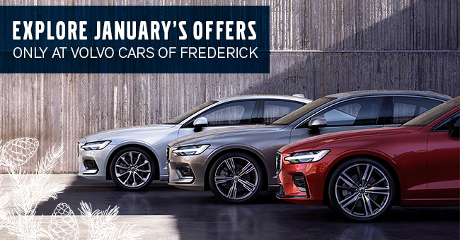 Explore January's Offers