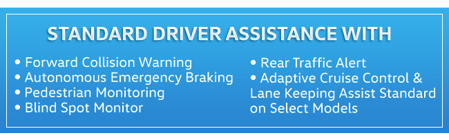 Standard Driver Assistance 