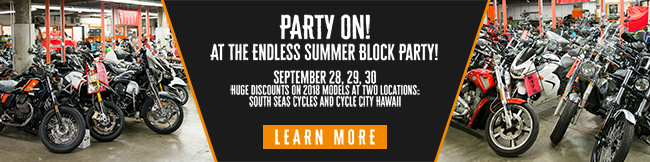 Party On! At The Endless Summer Block Party!