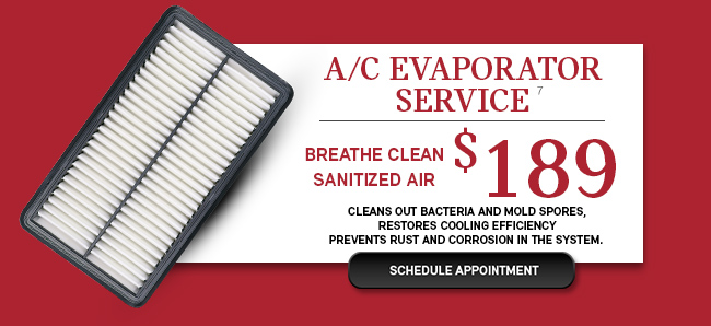 A/C Evaporator Service
