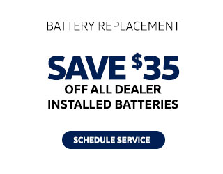 battery replacement special