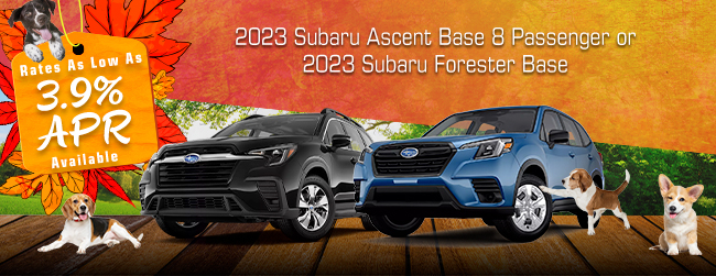 Subaru Ascent and Subaru Forester offers