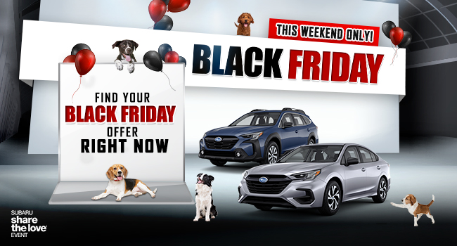 Black Friday Sales Event, this weekend only