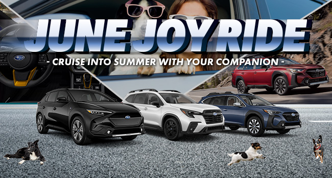 June Joy Ride, cruise into summer with your companion