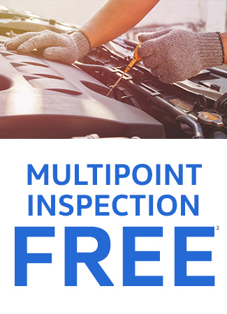 MULTIPOINT INSPECTION