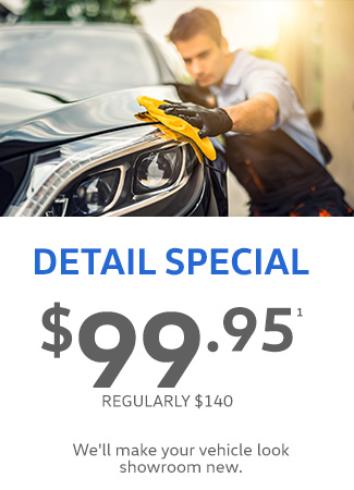 $99.95 Detail Special