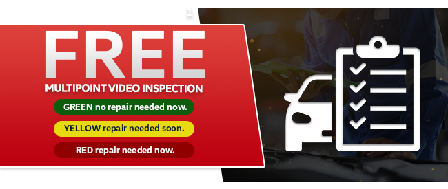 Free Multi-Point Video Inspection