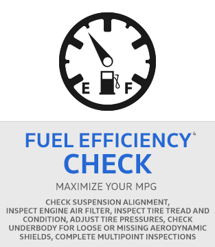 Fuel Efficiency Check