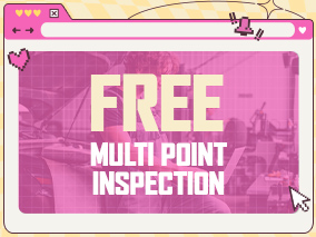 Free Multi point inspection