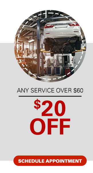 $20 off any service over $60