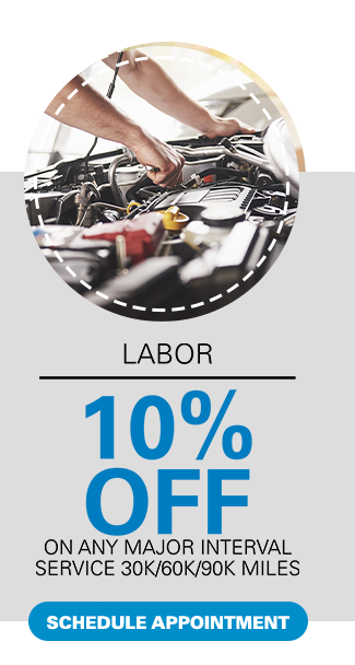 labor Special