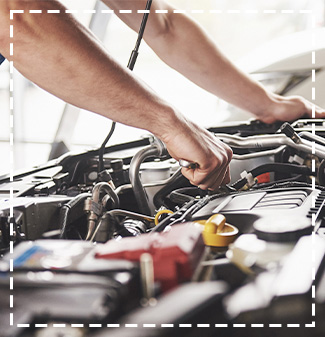 Promotional Service Offers from Westshore Honda, Tampa Florida