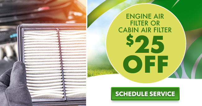 Engine Air Filter or cabin air filter