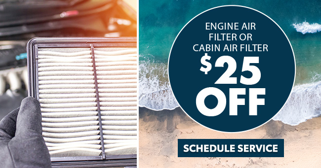 Engine Air Filter or cabin air filter