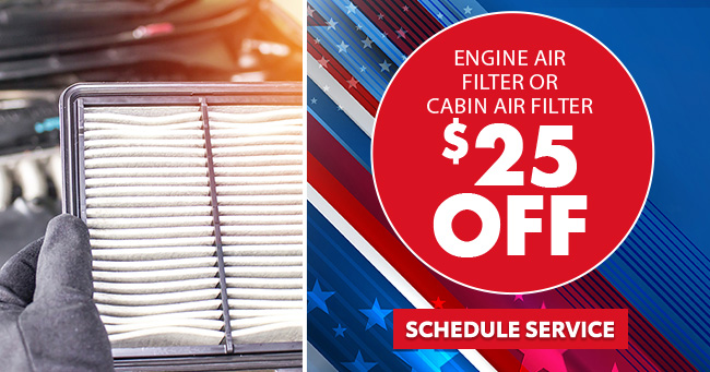 Engine Air Filter or cabin air filter