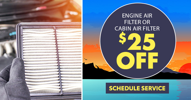 Engine Air Filter or cabin air filter
