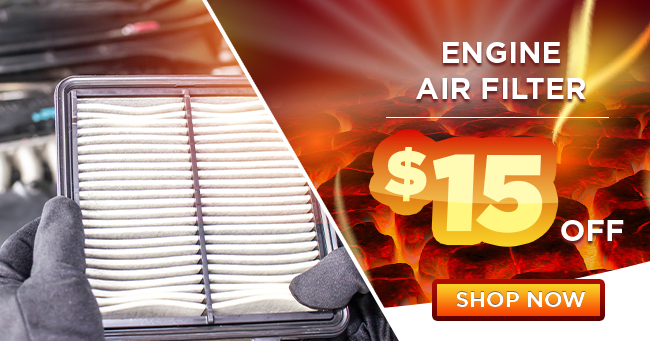 Engine Air Filter