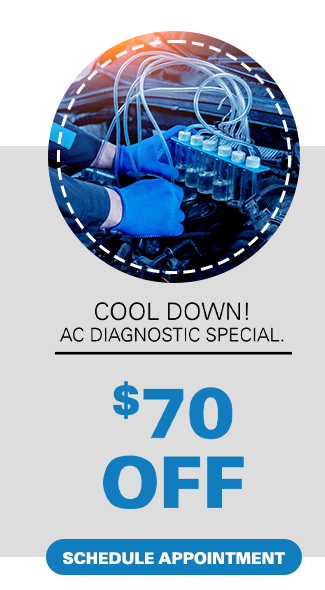 Promotional Service Offers from Westshore Honda, Tampa Florida